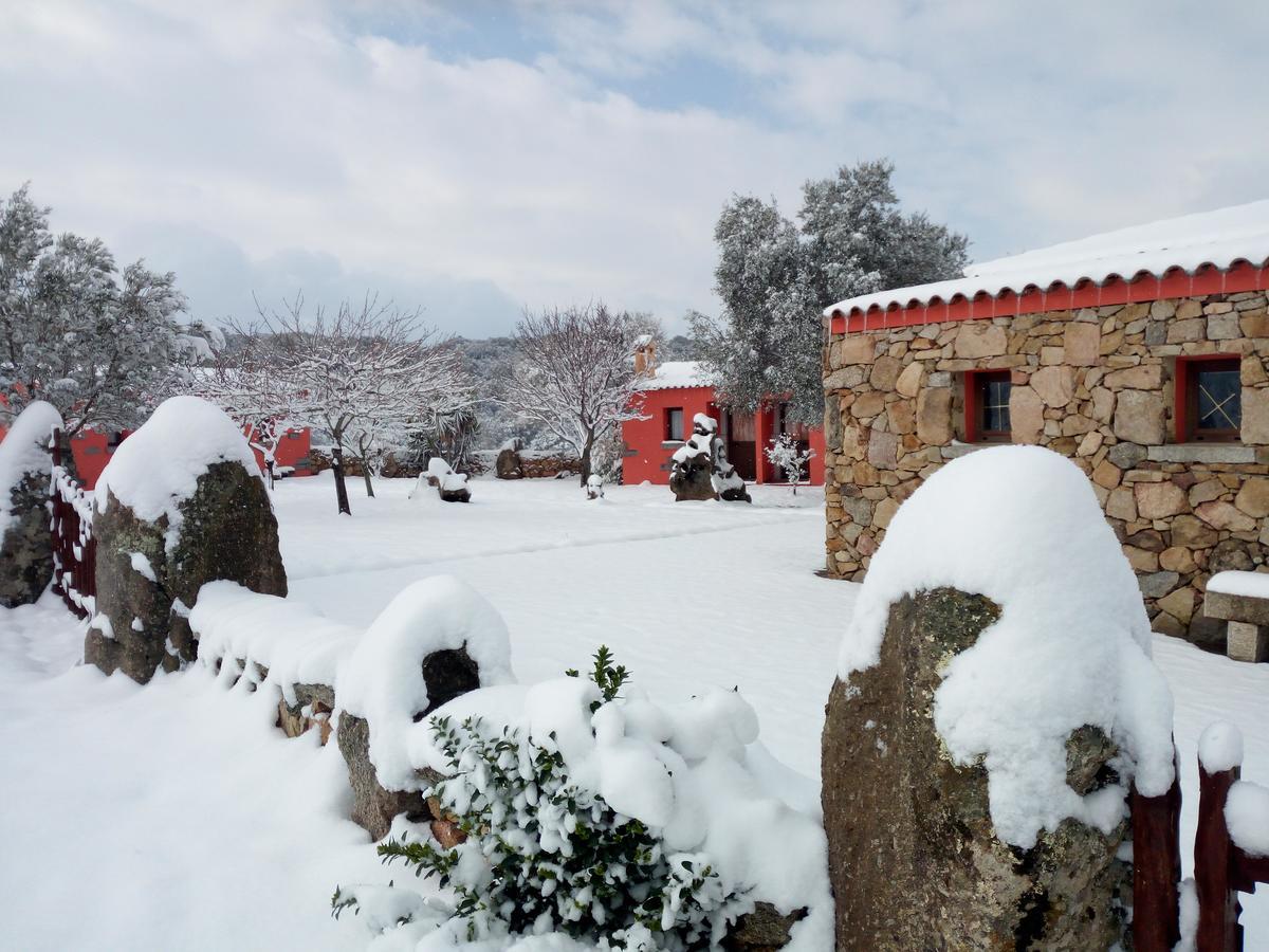 산트 안토니오 디 갈루라 Turismo Rurale L'Agliuledda 빌라 외부 사진